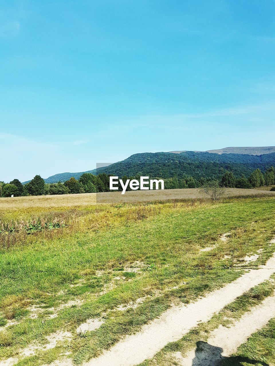 SCENIC VIEW OF GRASSY FIELD AGAINST SKY