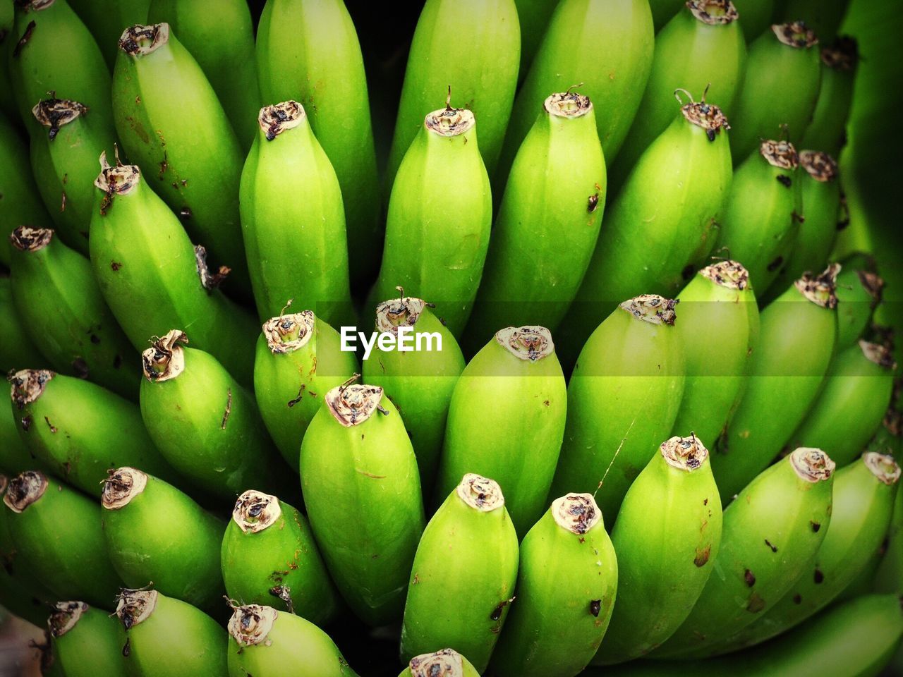 Full frame shot of bananas