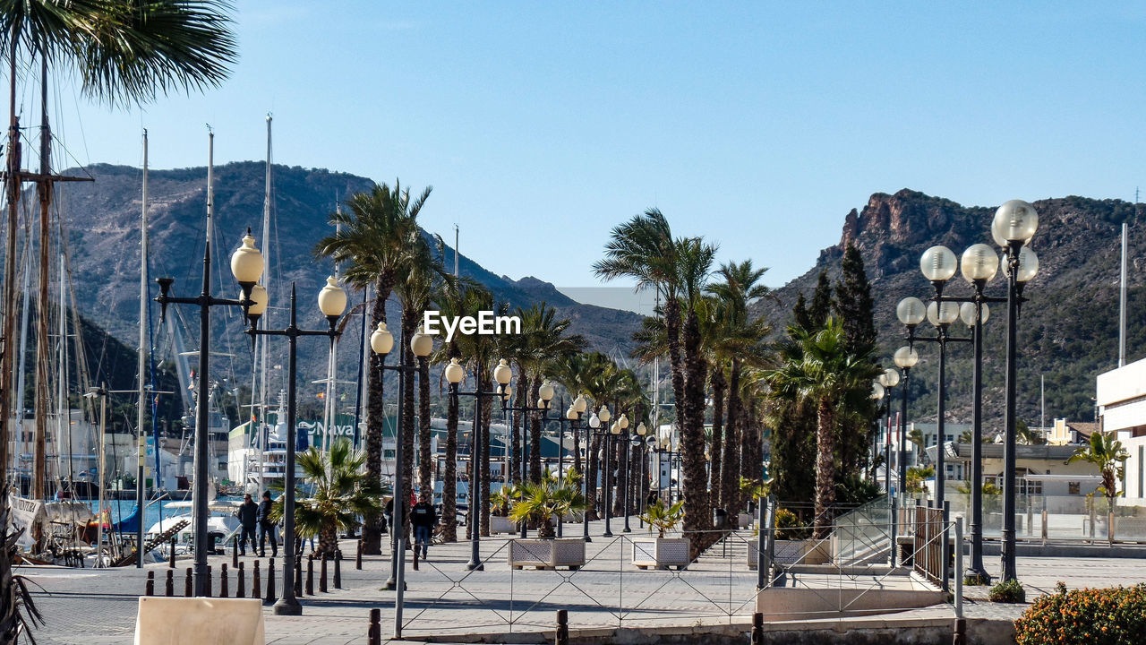 Panoramic view of palm trees and buildings against sky