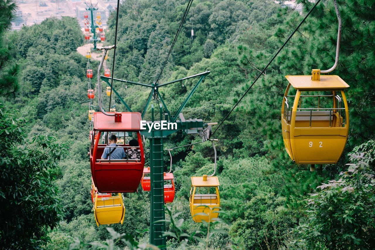 High angle view of overhead cable cars over forest