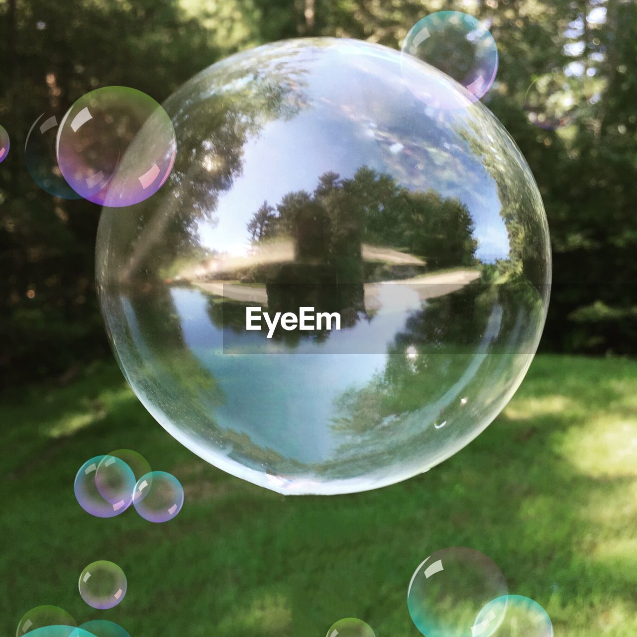 Close-up of bubbles over grassy field in yard