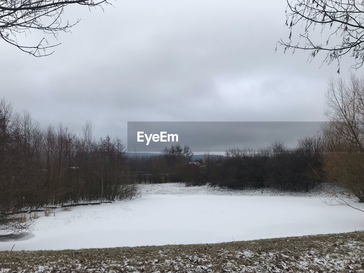 SNOW COVERED LAND AND TREES AGAINST SKY