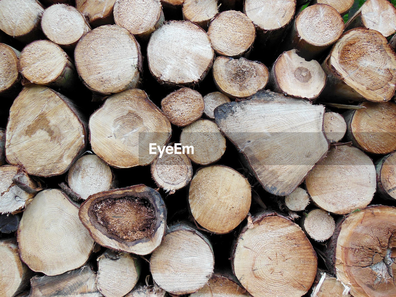 Full frame shot of logs in forest