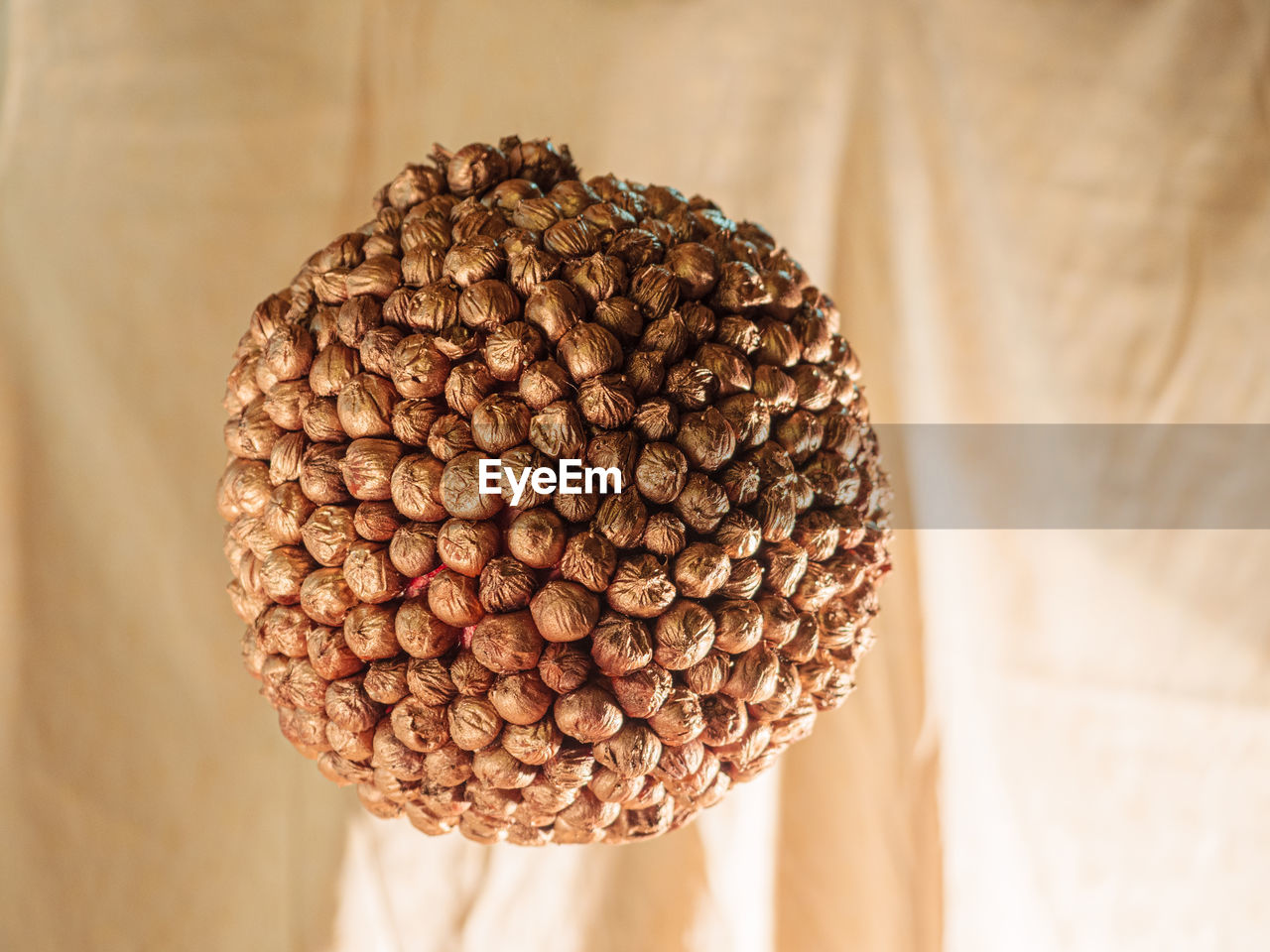 A ball covered with decaying fruits