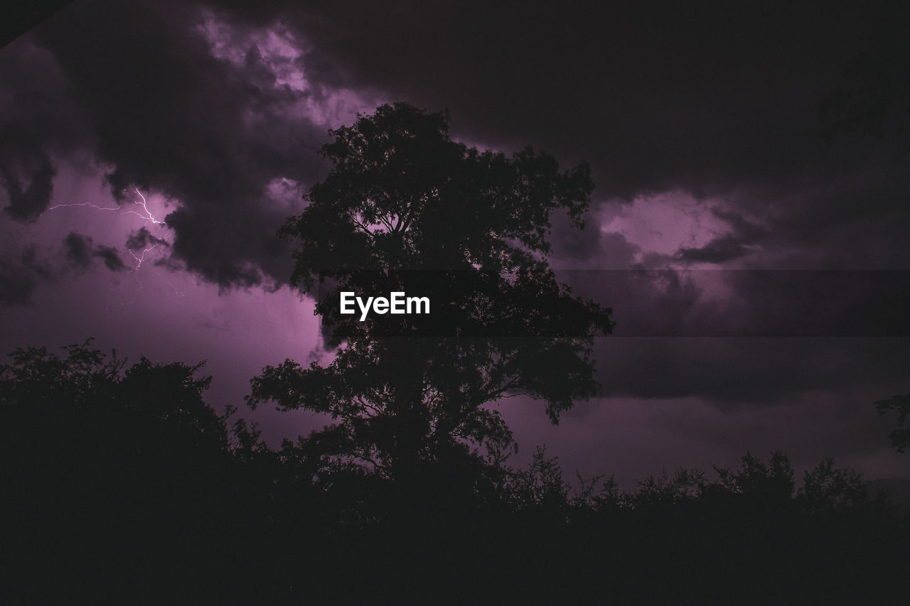 LOW ANGLE VIEW OF SILHOUETTE TREE AGAINST DRAMATIC SKY