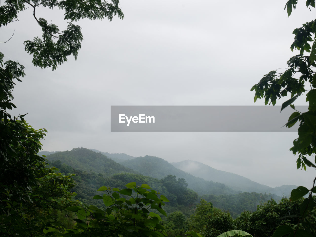 TREES AND MOUNTAINS AGAINST SKY