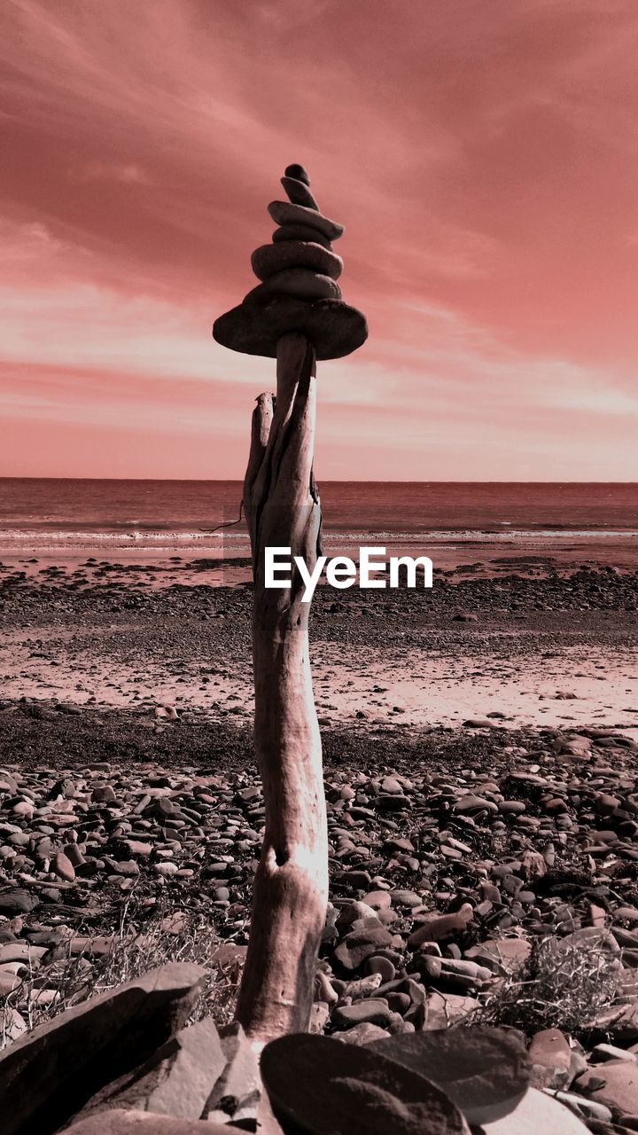 DRIFTWOOD ON BEACH BY SEA AGAINST SKY