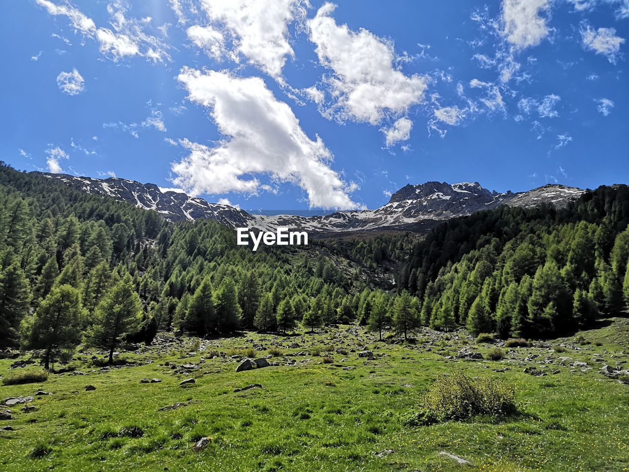 PANORAMIC VIEW OF LANDSCAPE AGAINST SKY