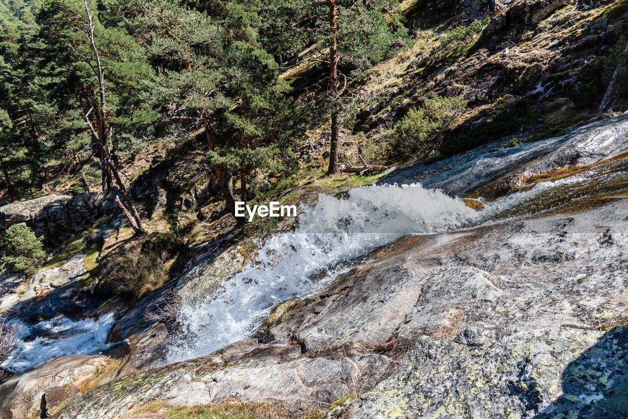 STREAM FLOWING THROUGH ROCKS IN FOREST