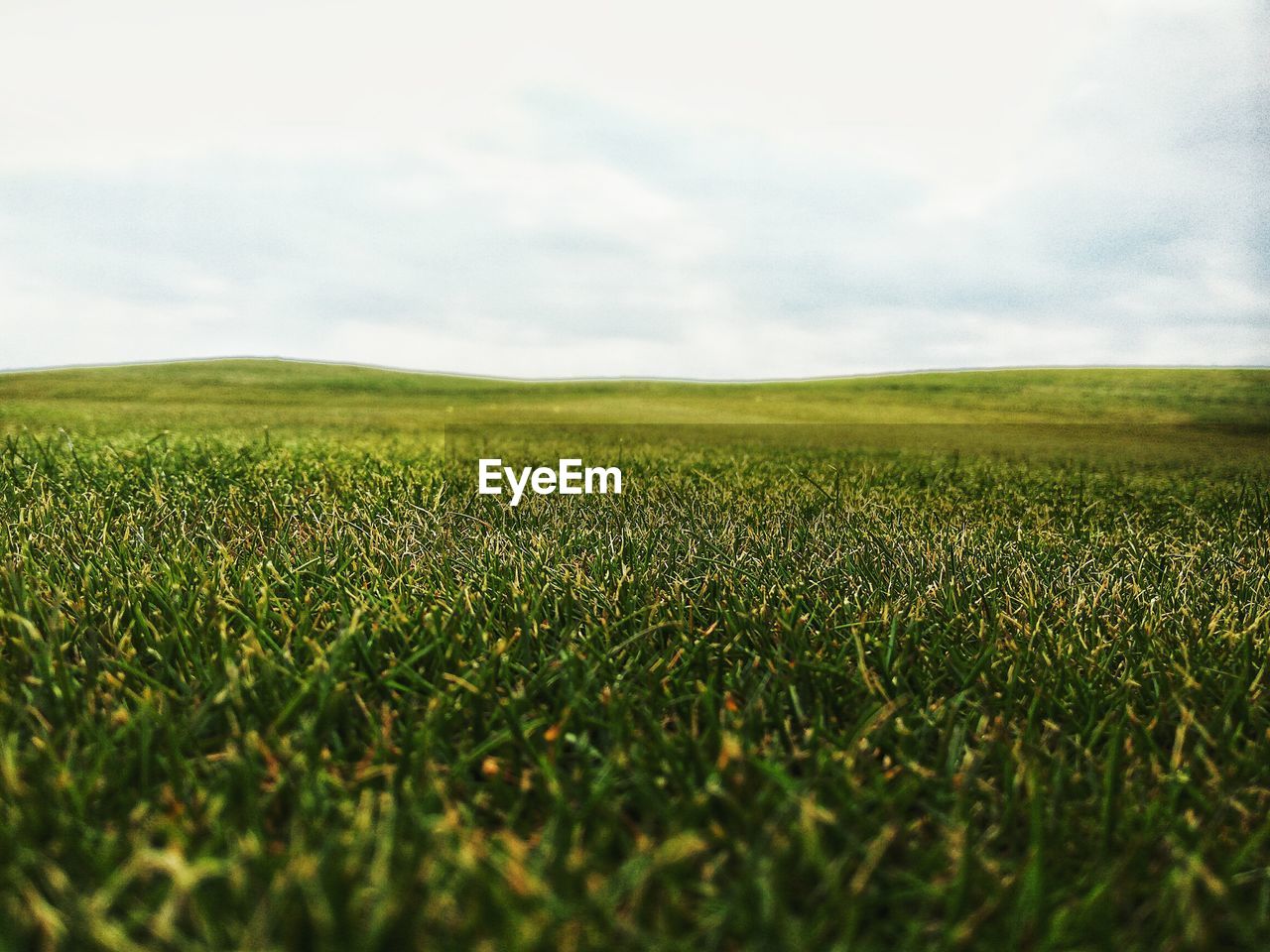 SCENIC VIEW OF FARM FIELD AGAINST SKY