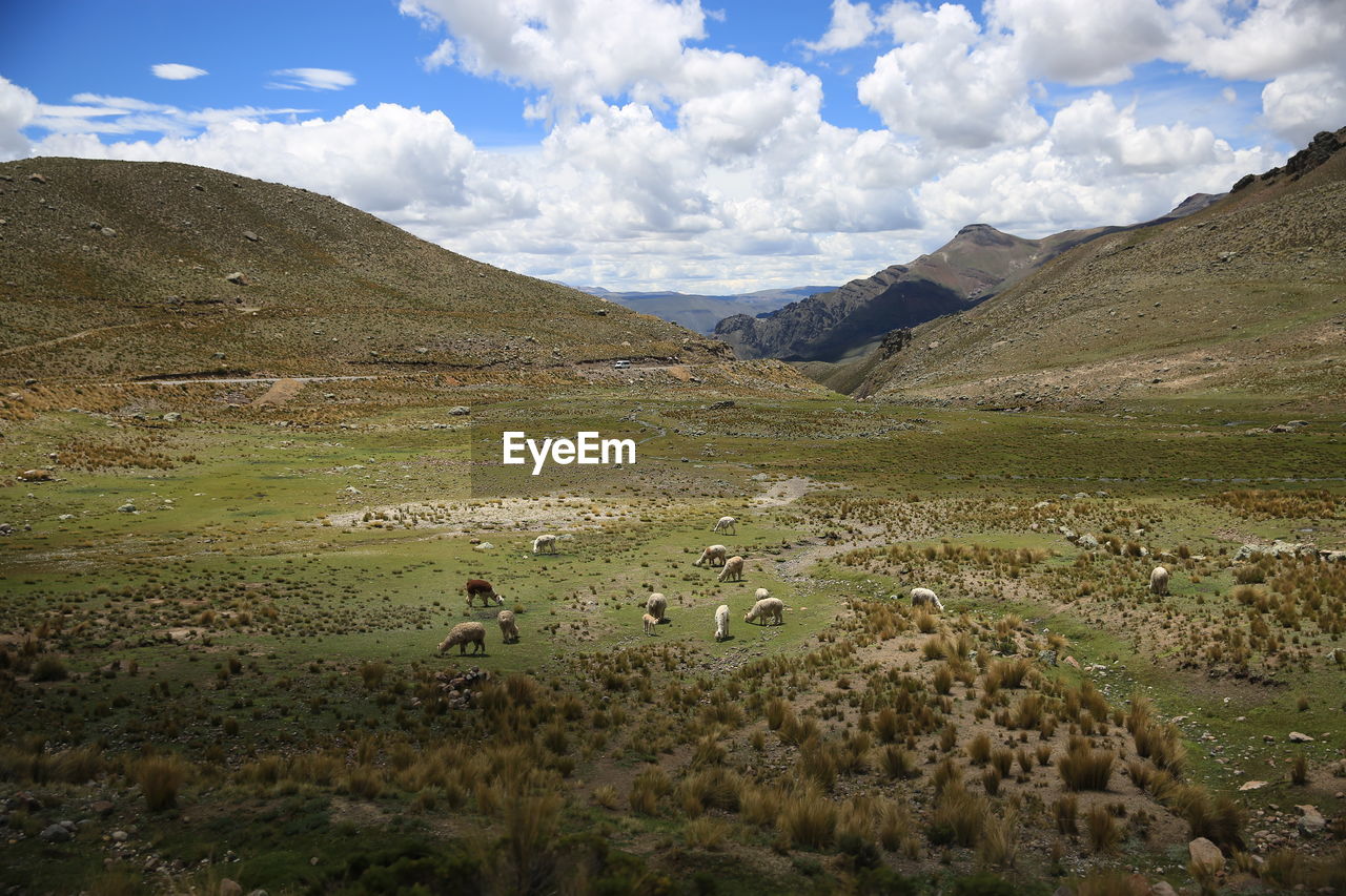 Scenic view of landscape against sky