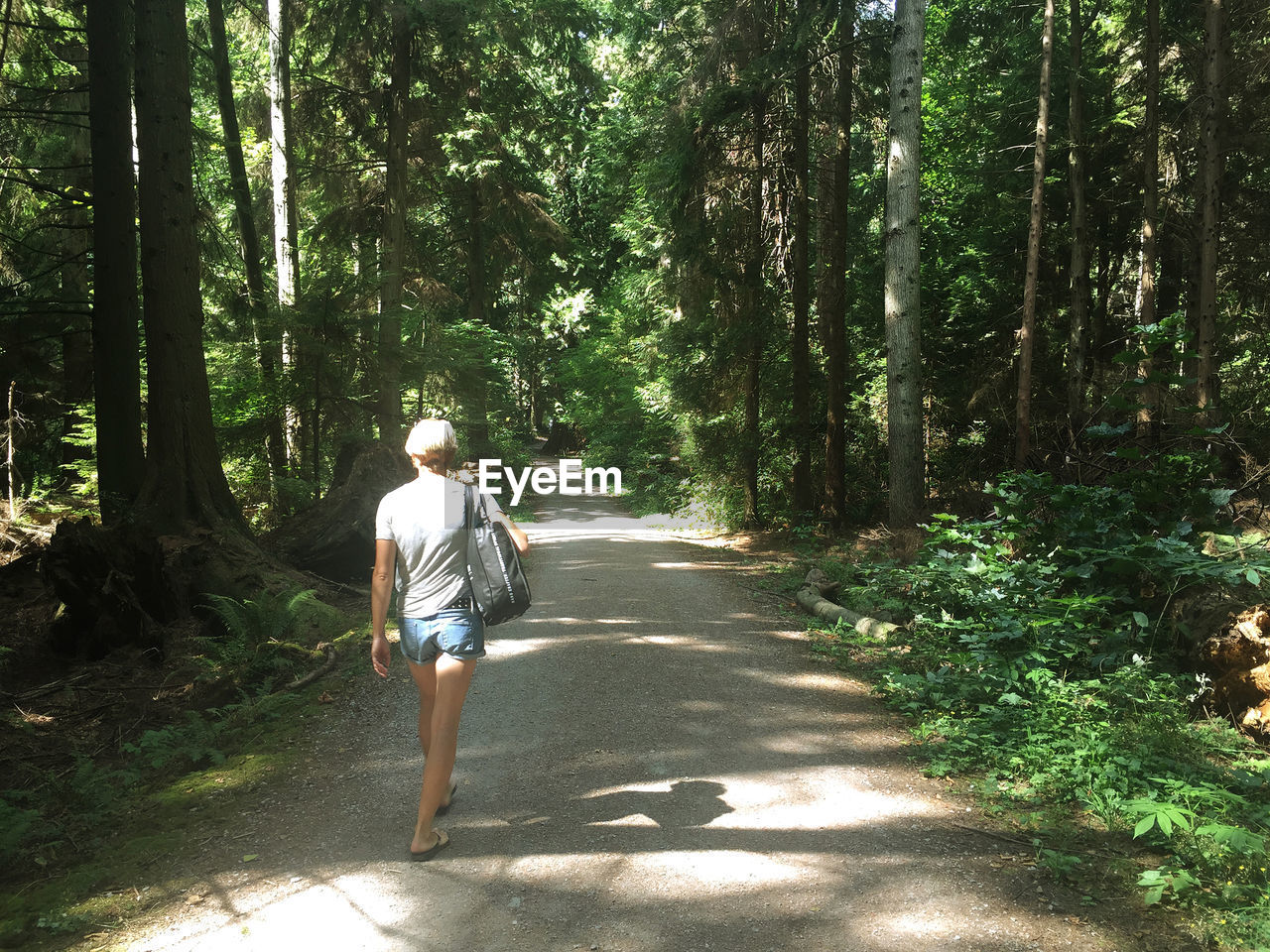 REAR VIEW OF PERSON WALKING ON ROAD AMIDST TREES IN FOREST