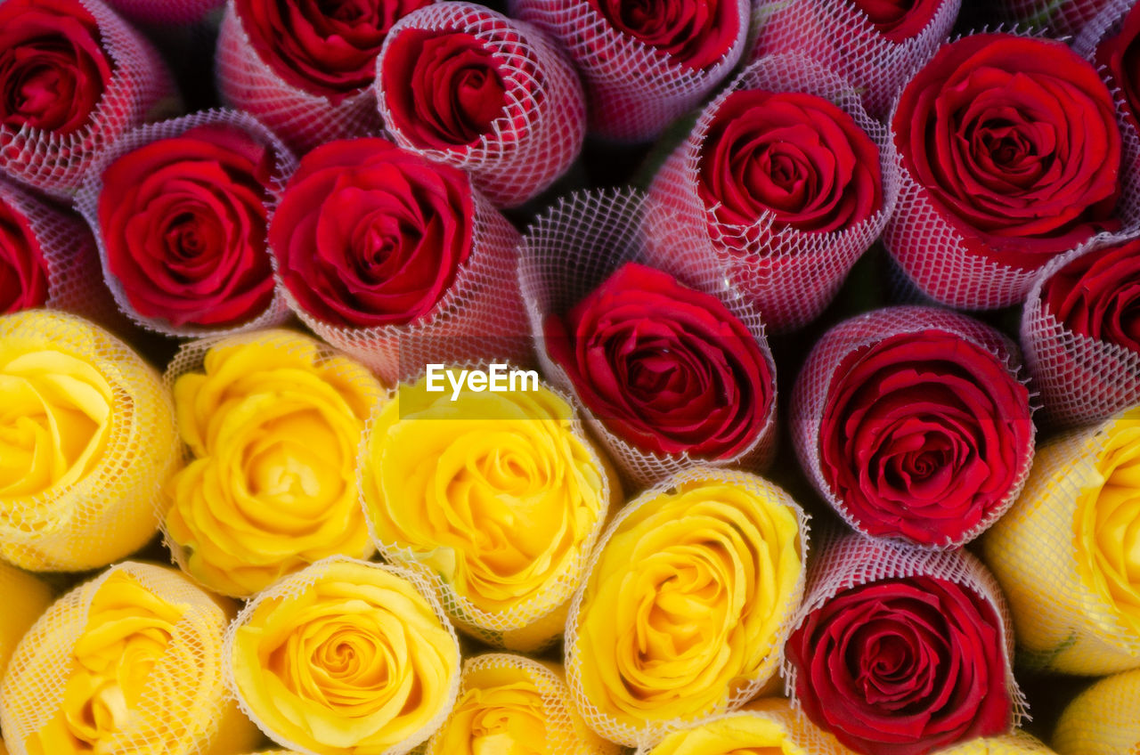 rose, flower, beauty in nature, full frame, flowering plant, backgrounds, yellow, petal, large group of objects, plant, red, freshness, abundance, no people, multi colored, close-up, arrangement, fragility, garden roses, flower arrangement, nature, pink, high angle view, flower head, retail, bouquet, pattern, inflorescence, variation, directly above, for sale