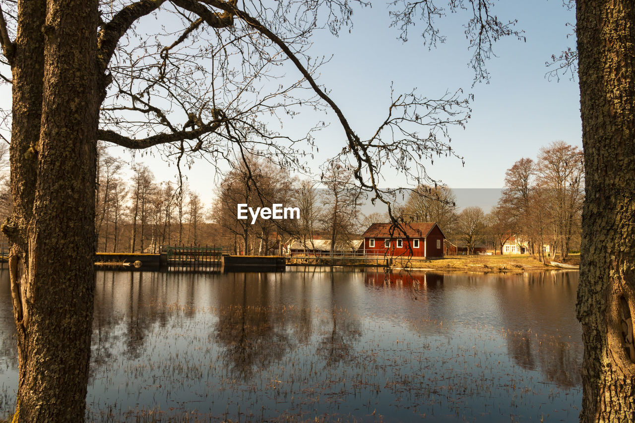 Scenic view of lake by trees against sky