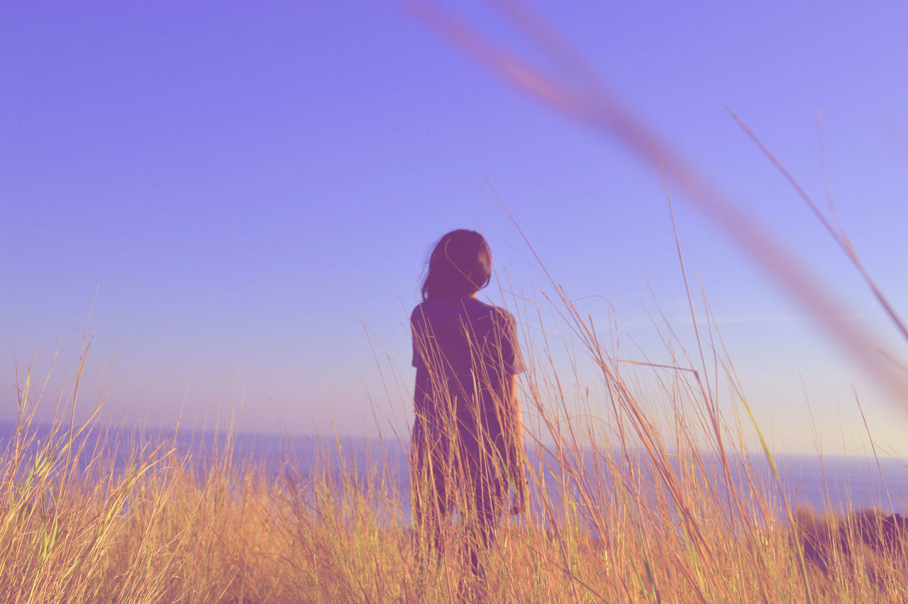 Rear view of woman looking at sea while standing on grassy field against sky