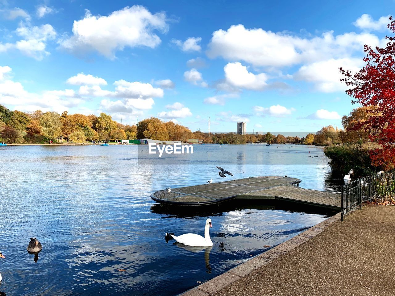 VIEW OF SWAN SWIMMING IN LAKE AGAINST SKY