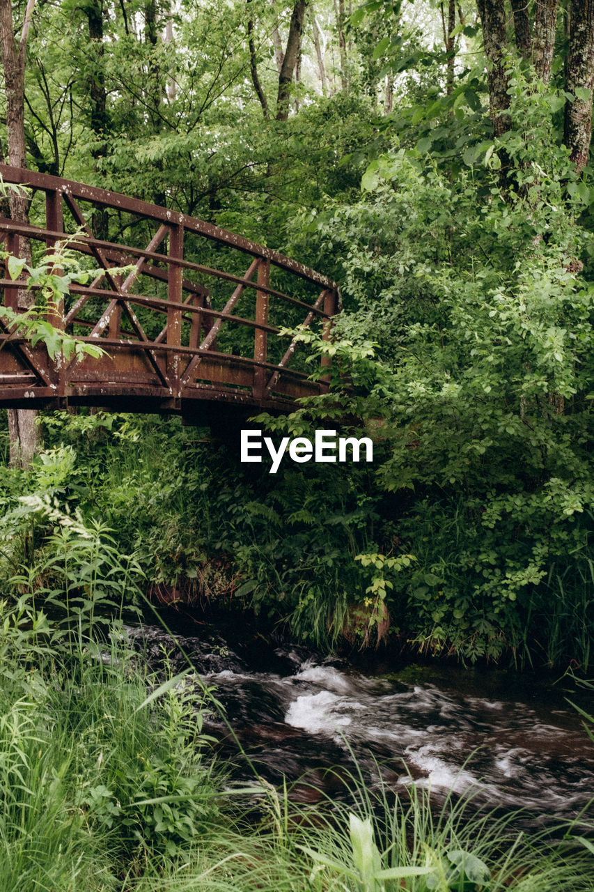 plant, tree, woodland, growth, natural environment, nature, forest, bridge, green, land, no people, stream, day, rainforest, jungle, garden, built structure, architecture, water, wilderness, beauty in nature, tranquility, outdoors, footbridge, foliage, flower, lush foliage, vegetation, river, tranquil scene, non-urban scene, scenics - nature, pond, nature reserve, wetland, leaf