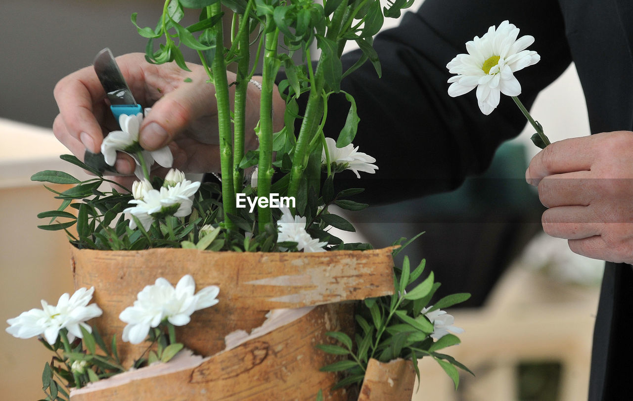 Close-up of hand holding flowers