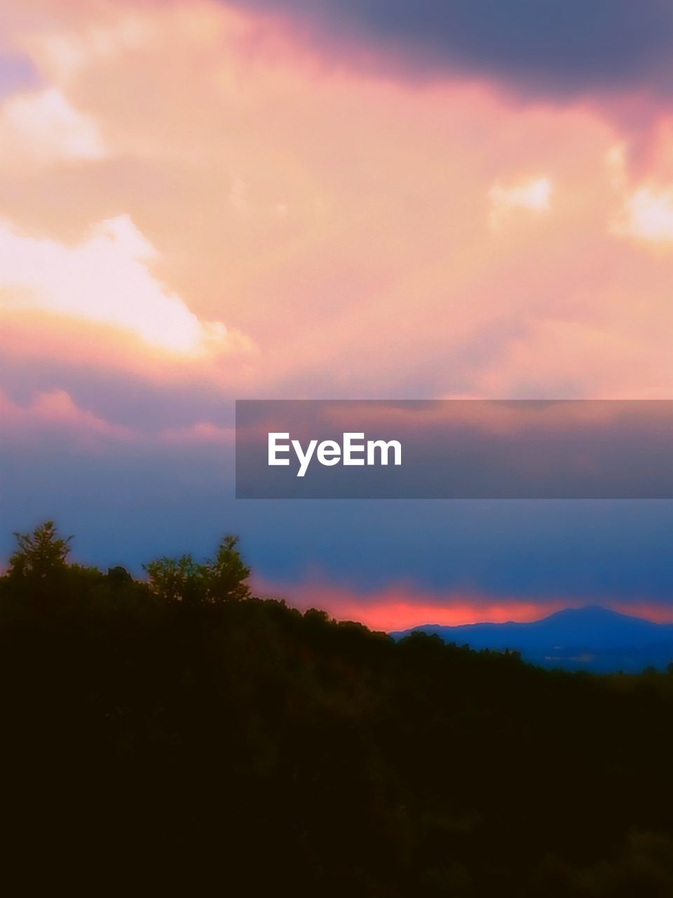 SCENIC VIEW OF SILHOUETTE TREES AGAINST ROMANTIC SKY