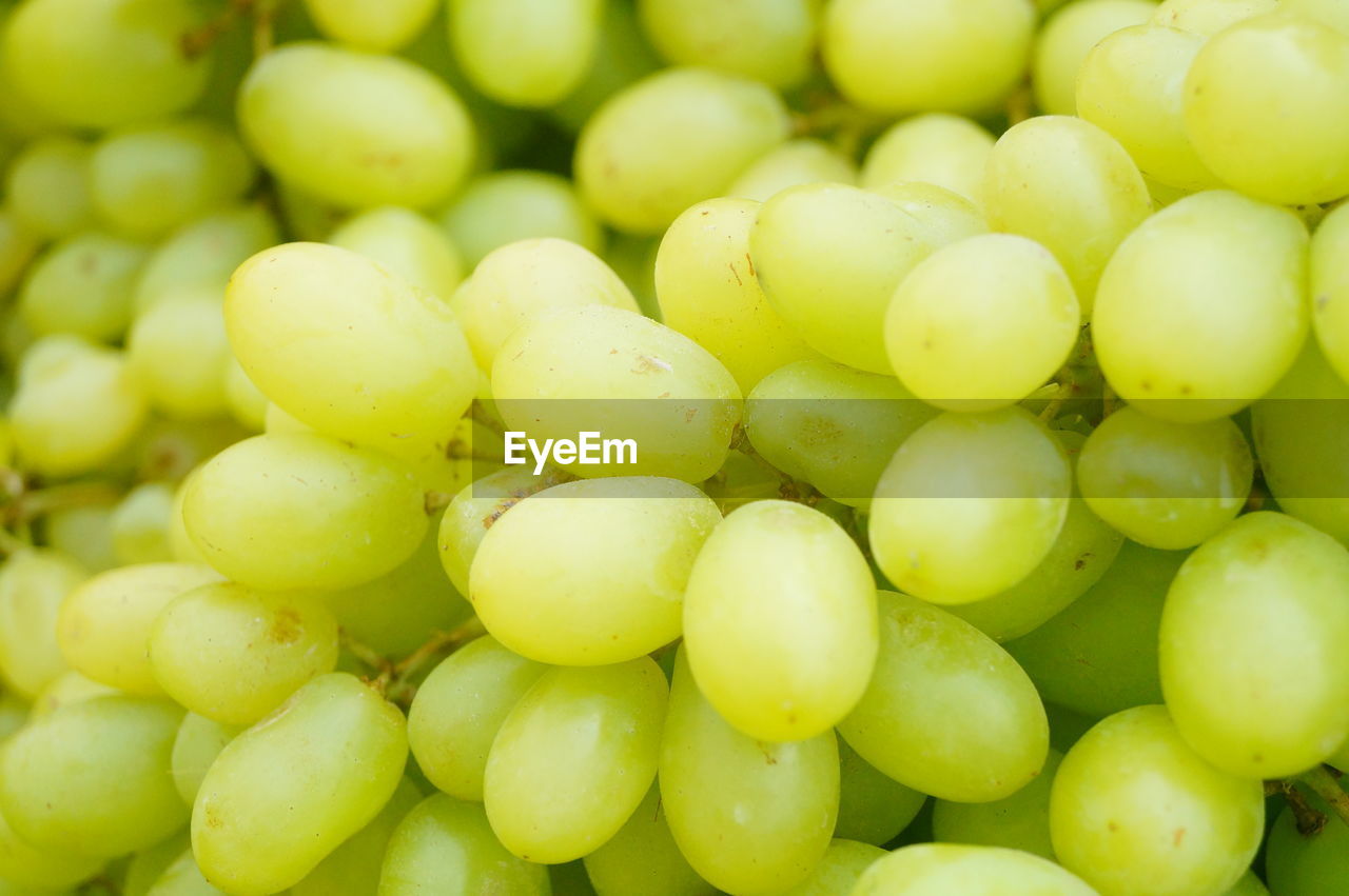 FULL FRAME SHOT OF GRAPES IN GREEN BACKGROUND