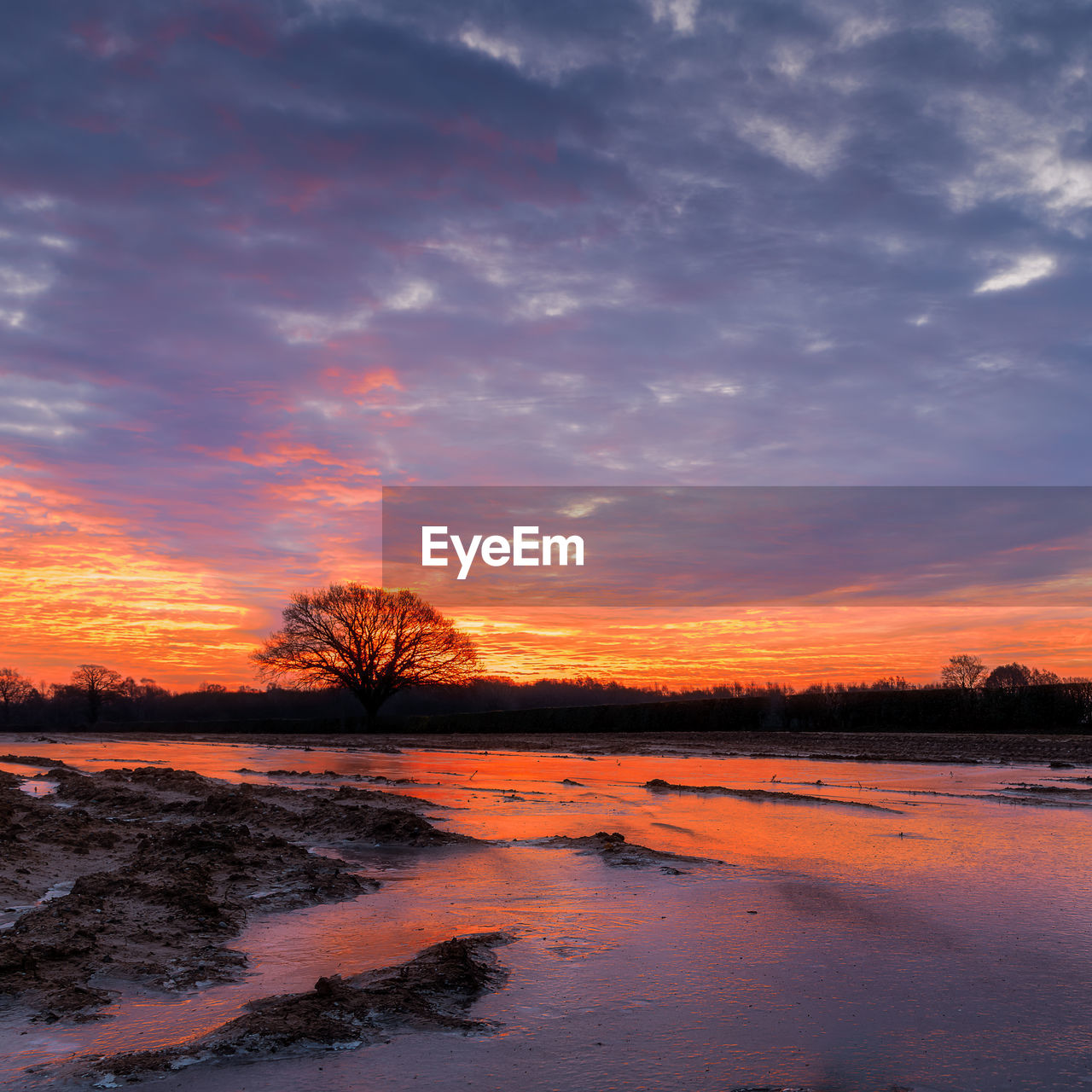 sky, cloud, water, sunset, beauty in nature, scenics - nature, reflection, dawn, tranquility, nature, environment, land, tranquil scene, landscape, orange color, tree, afterglow, no people, shore, evening, sea, plant, dramatic sky, beach, horizon, red sky at morning, outdoors, idyllic, non-urban scene, travel destinations, sun