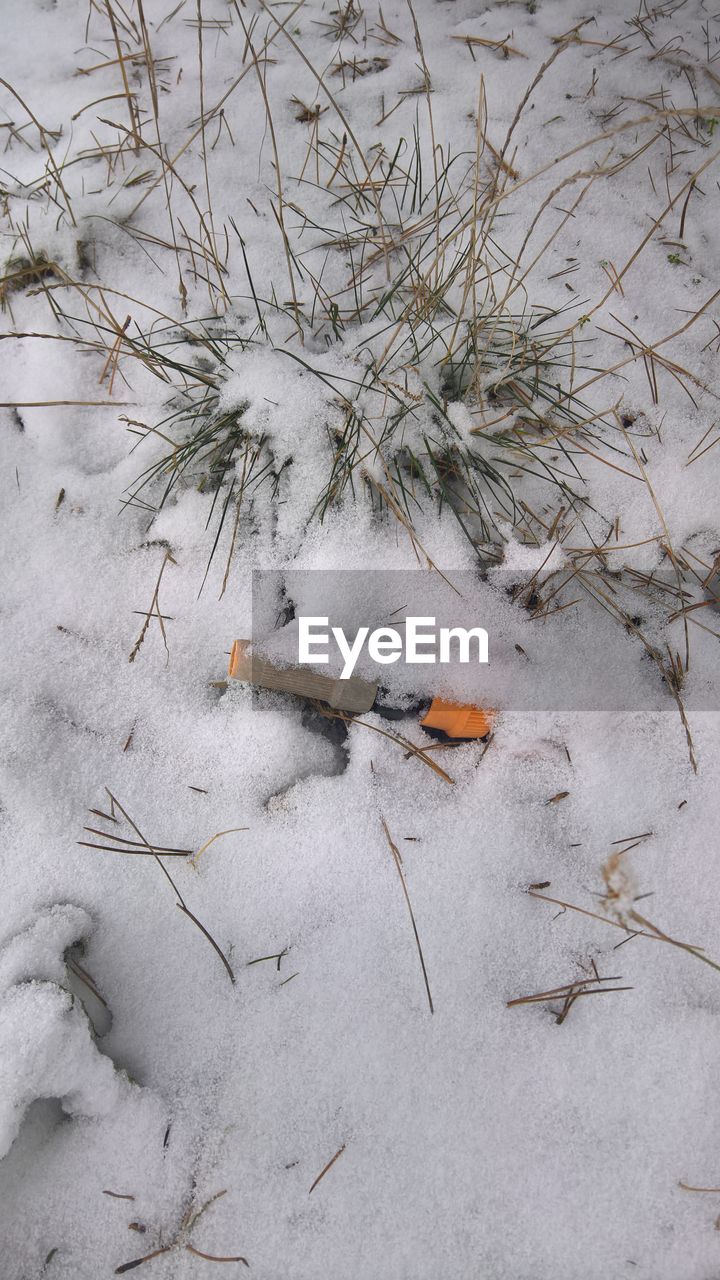 HIGH ANGLE VIEW OF SNOW COVERED PLANTS ON LAND