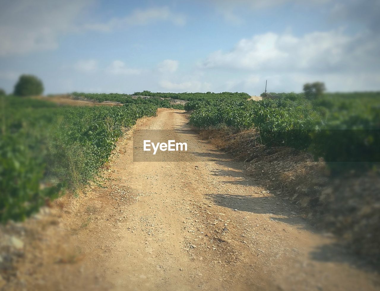 ROAD AMIDST FIELD AGAINST SKY