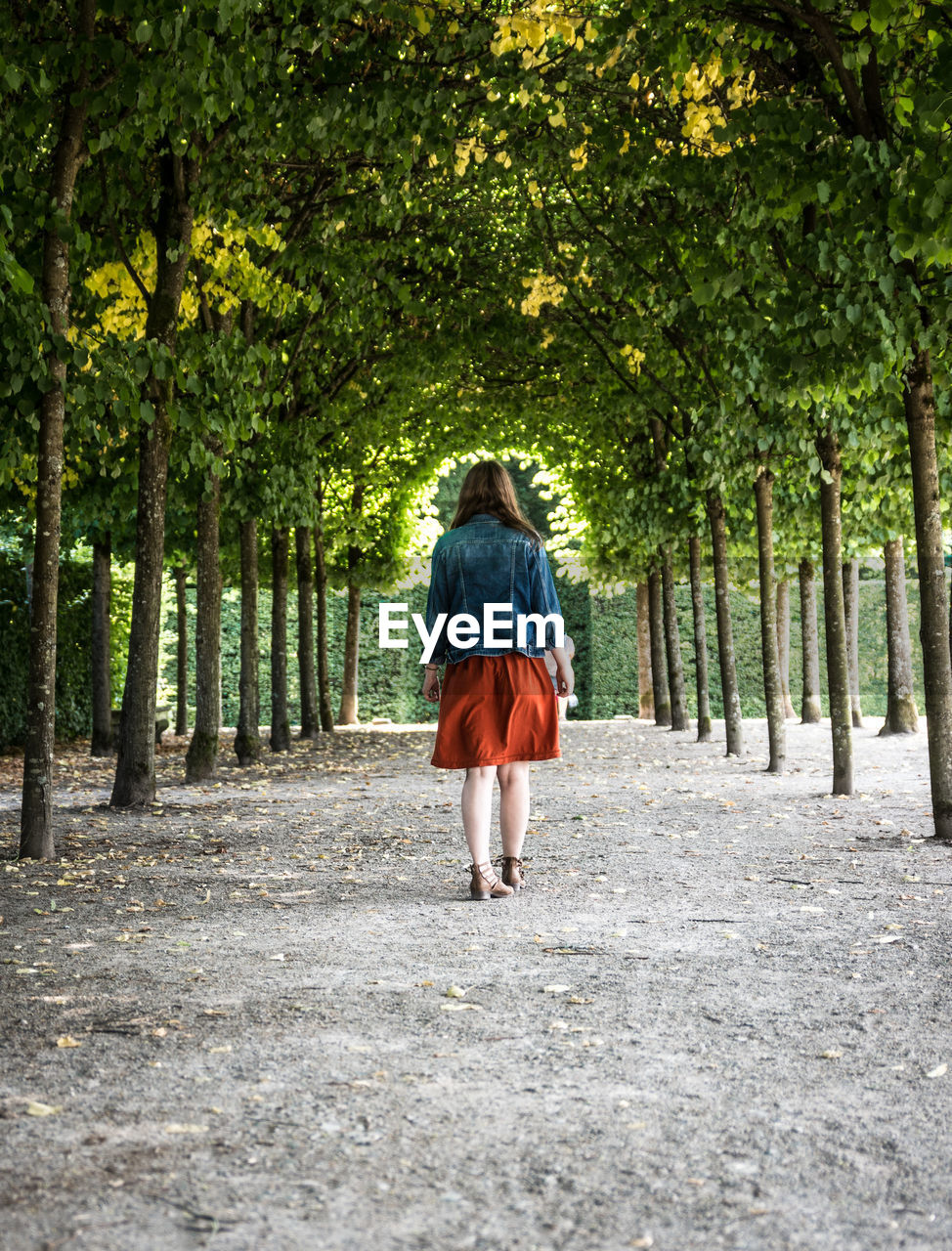 Rear view of woman walking on footpath in park