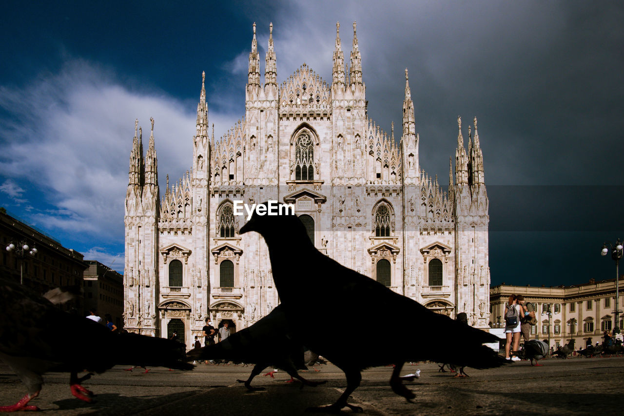 Silhouette of a pigeon in front of a church