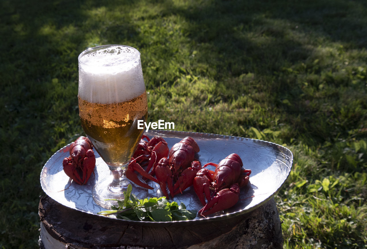 HIGH ANGLE VIEW OF BEER ON GLASS