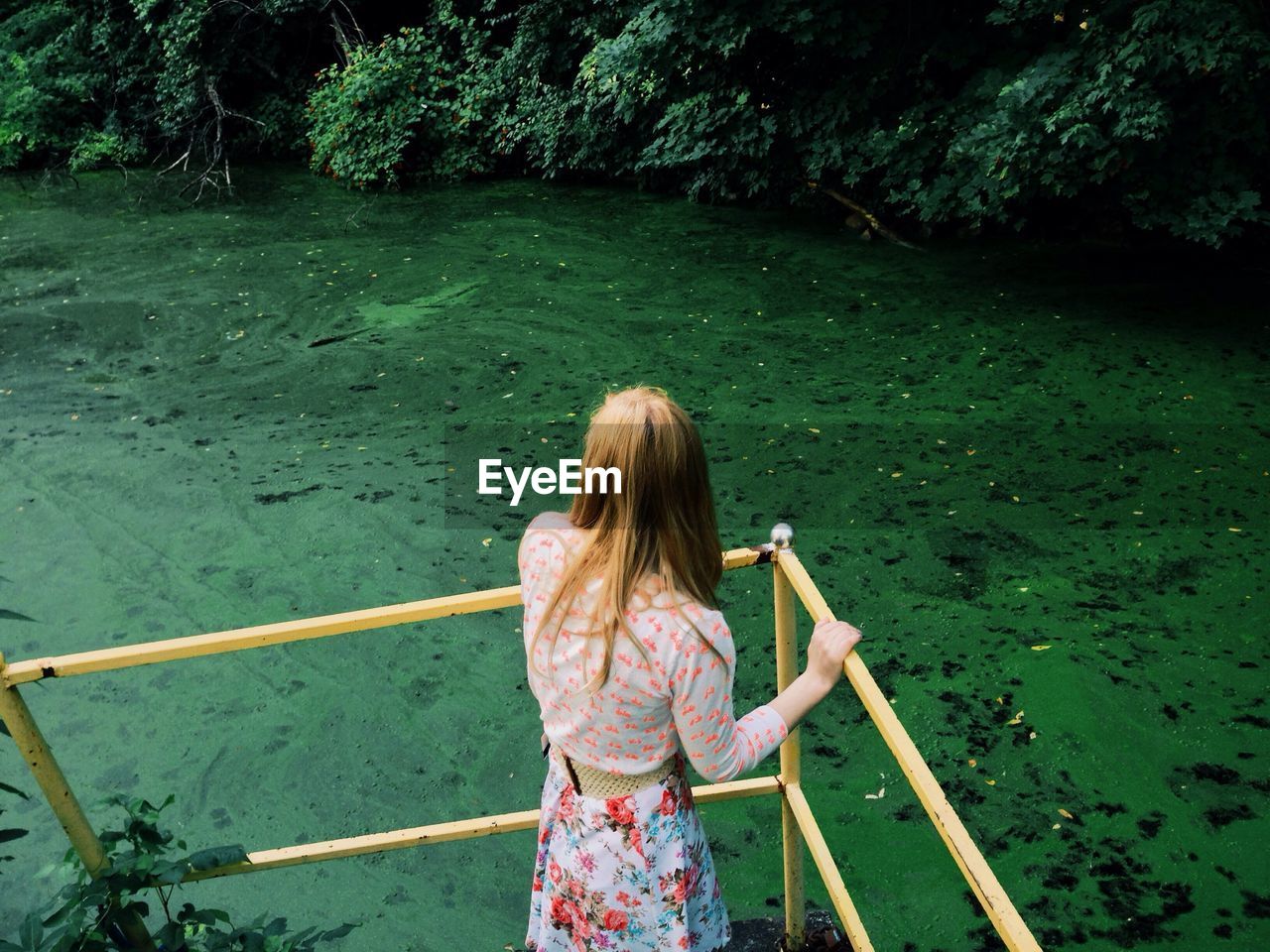 Rear view of woman standing against swamp