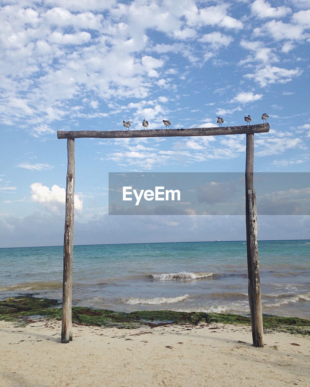 Birds on wooden posts at sea against cloudy sky