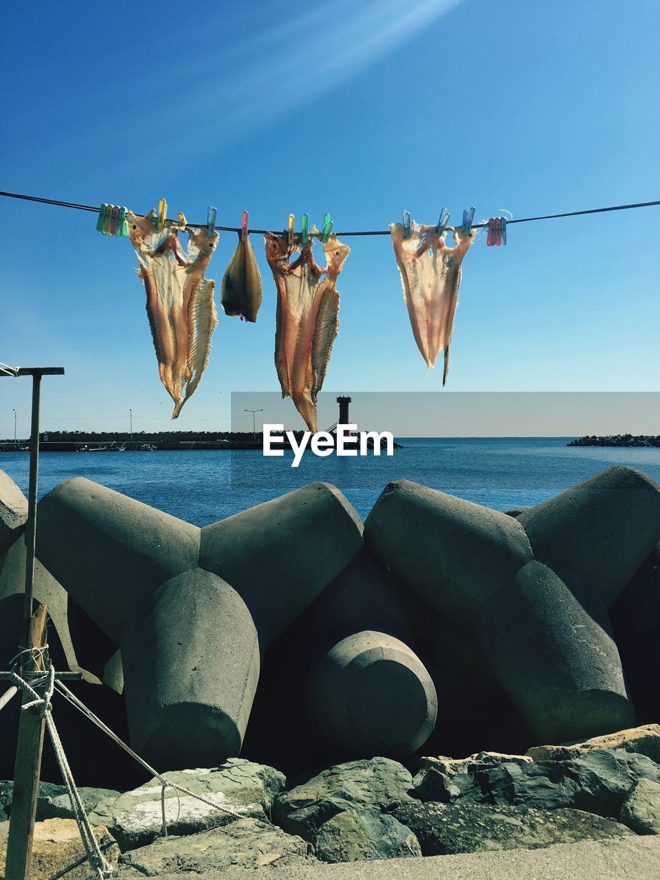Fish drying at beach against clear blue sky