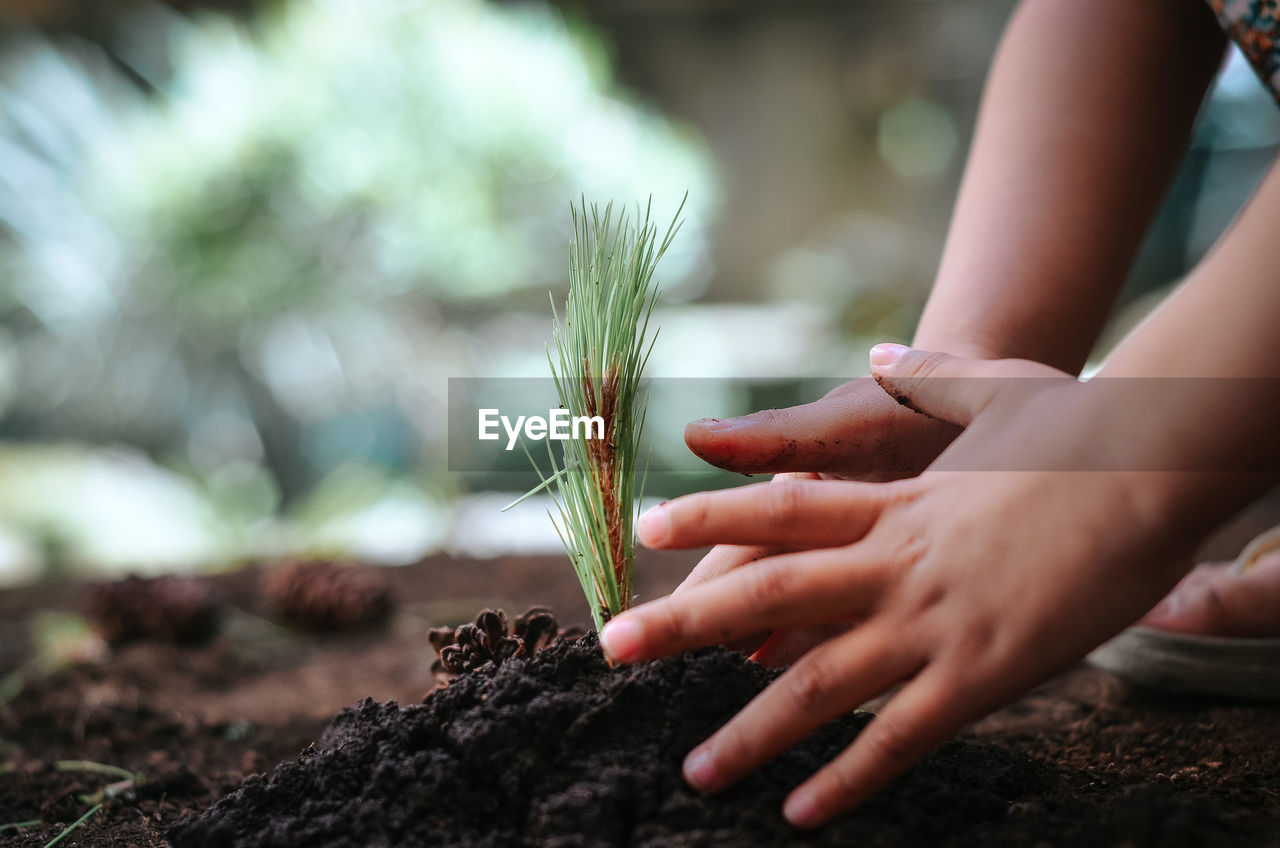 hand, soil, plant, nature, growth, one person, gardening, women, adult, dirt, agriculture, holding, outdoors, day, flower, close-up, selective focus, organic, female, environmental conservation, garden, planting, child, food, environment, lifestyles, childhood, vegetable, tree, food and drink, green, grass