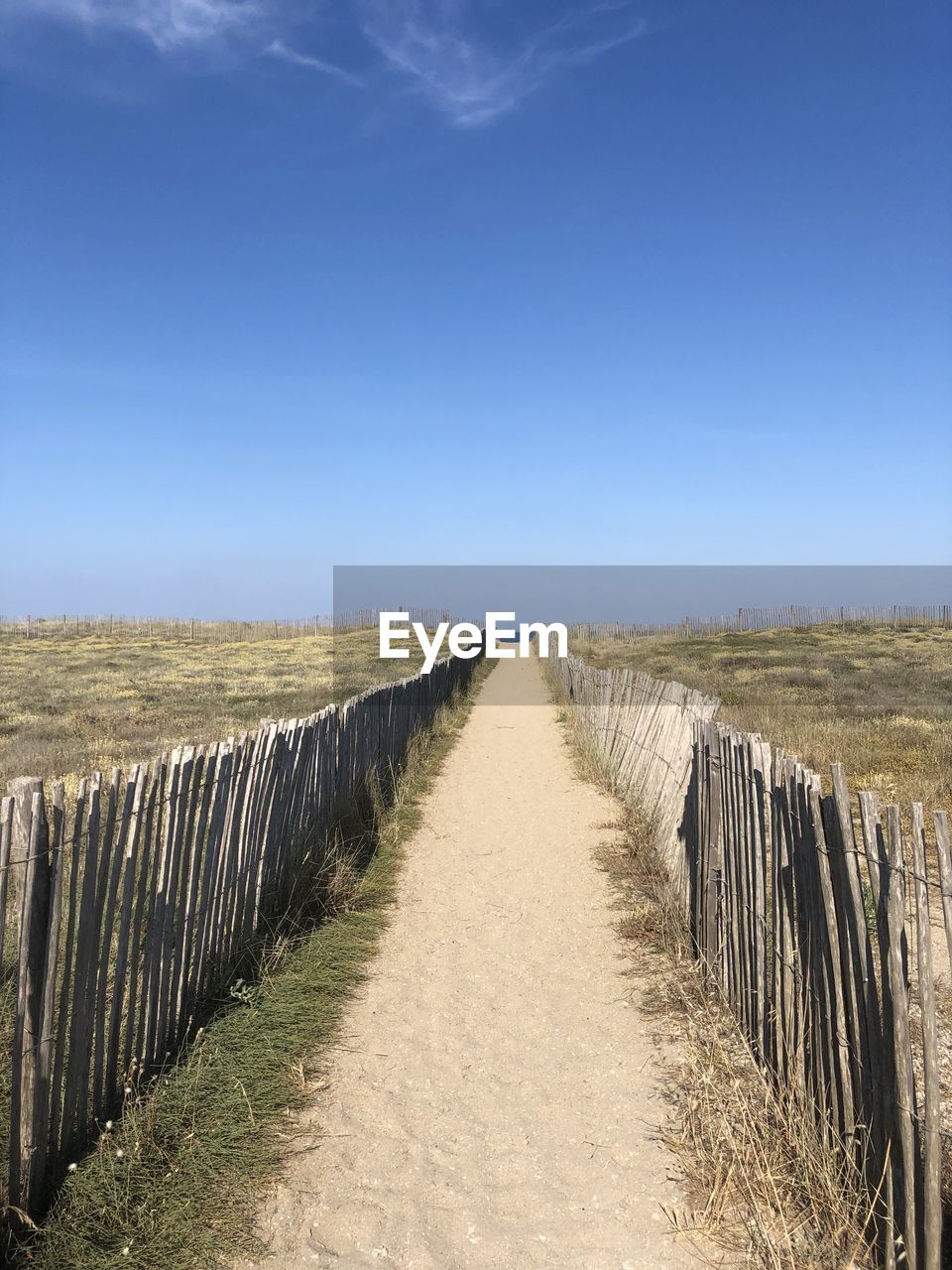 DIRT ROAD PASSING THROUGH FIELD