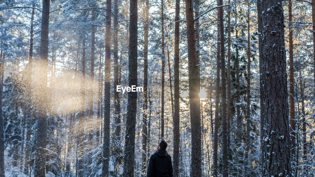 Rear view of mid adult man standing in forest during winter