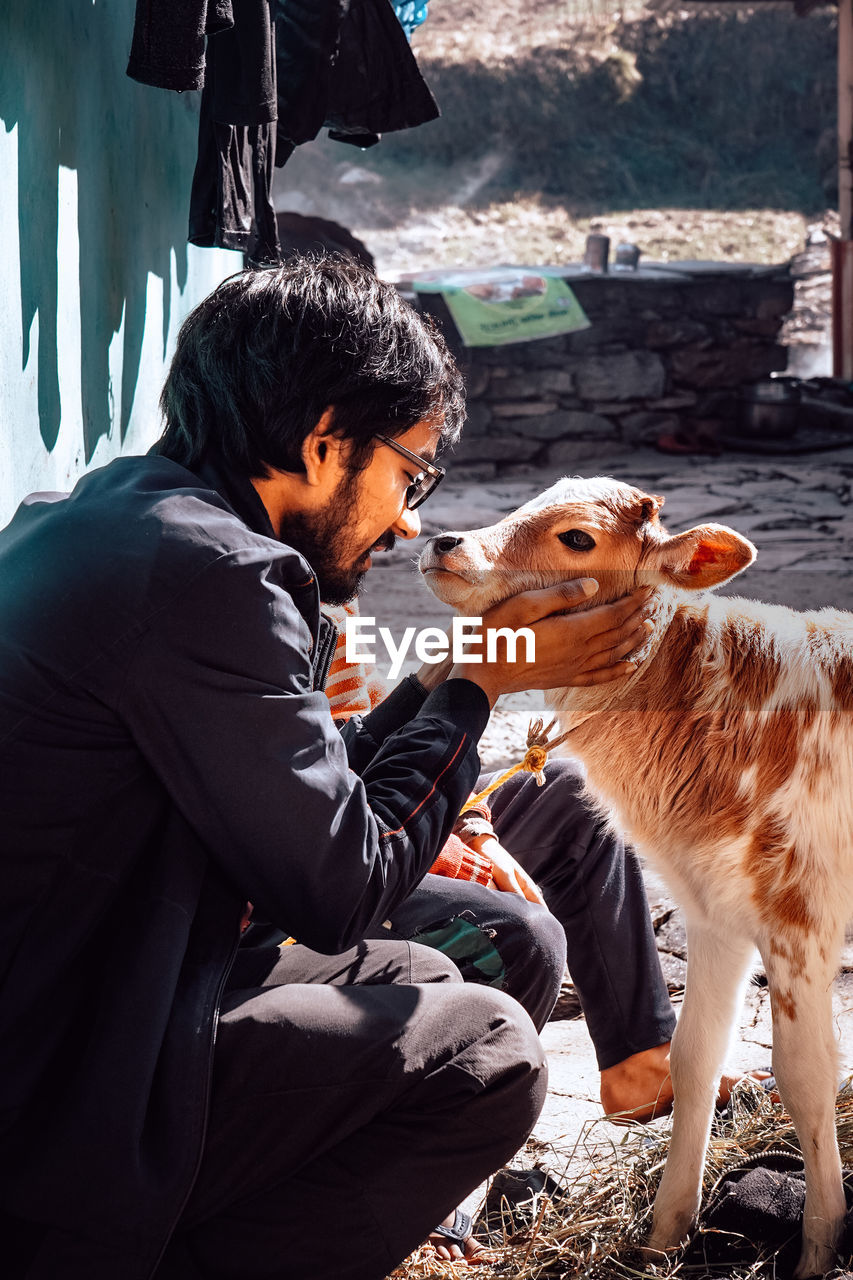 Close-up of man with cow calf outdoors