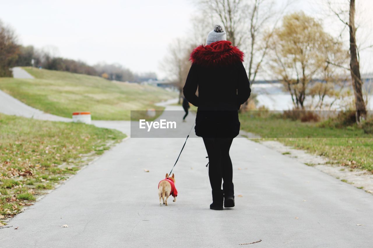 Rear view of woman with dog walking on road