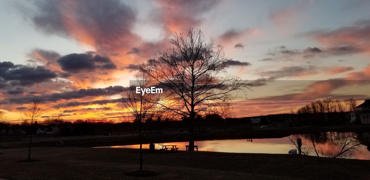 SILHOUETTE BARE TREE AGAINST SKY DURING SUNSET