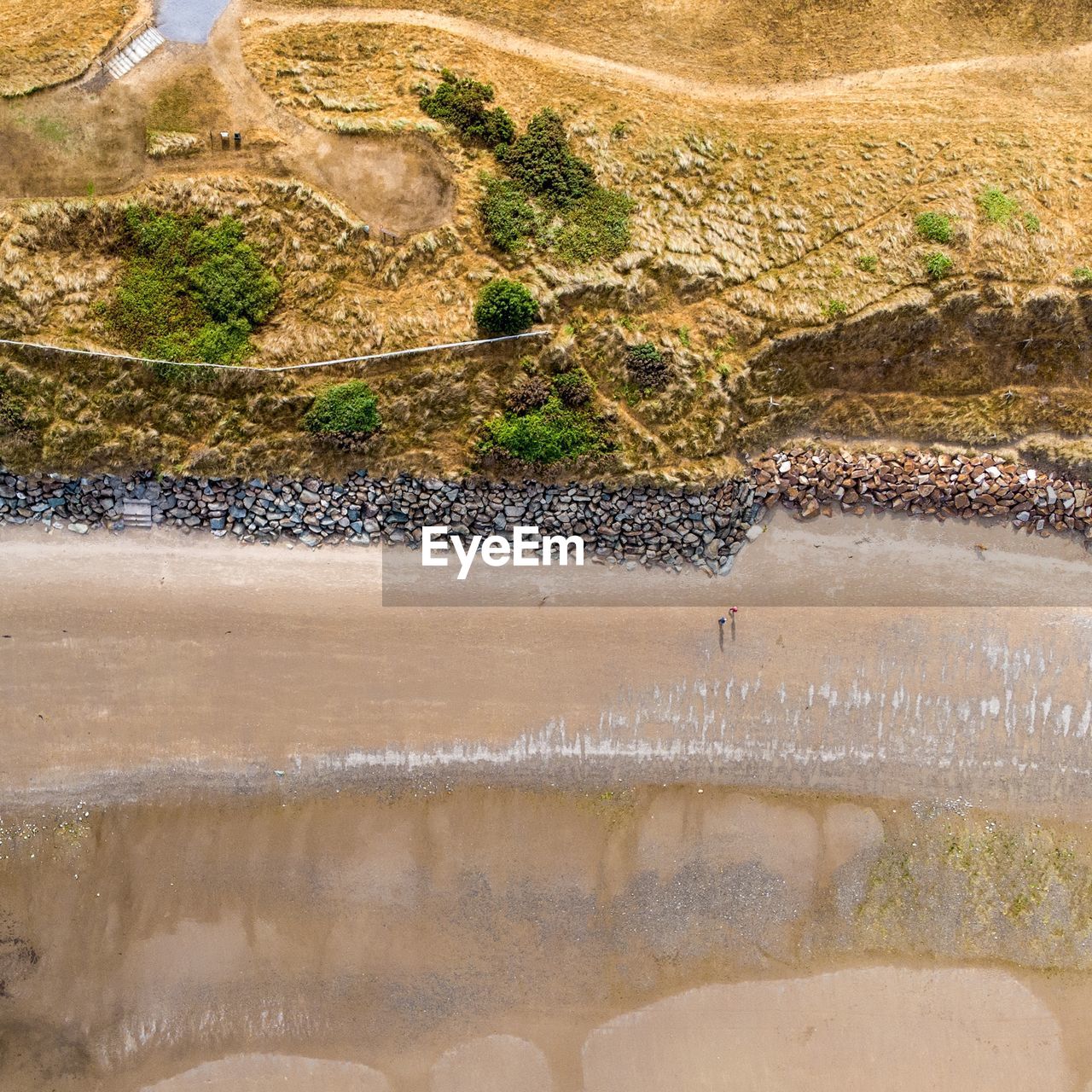 High angle view of beach by field