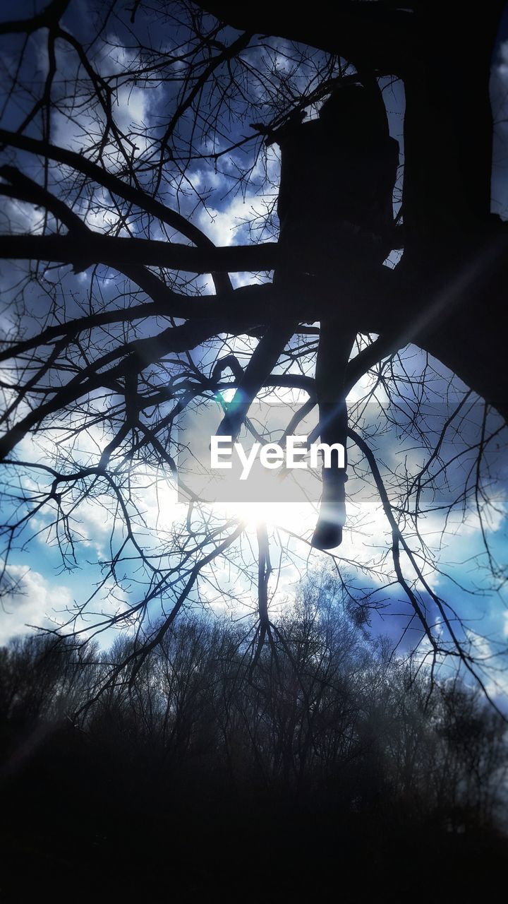 LOW ANGLE VIEW OF BARE TREES AGAINST SKY