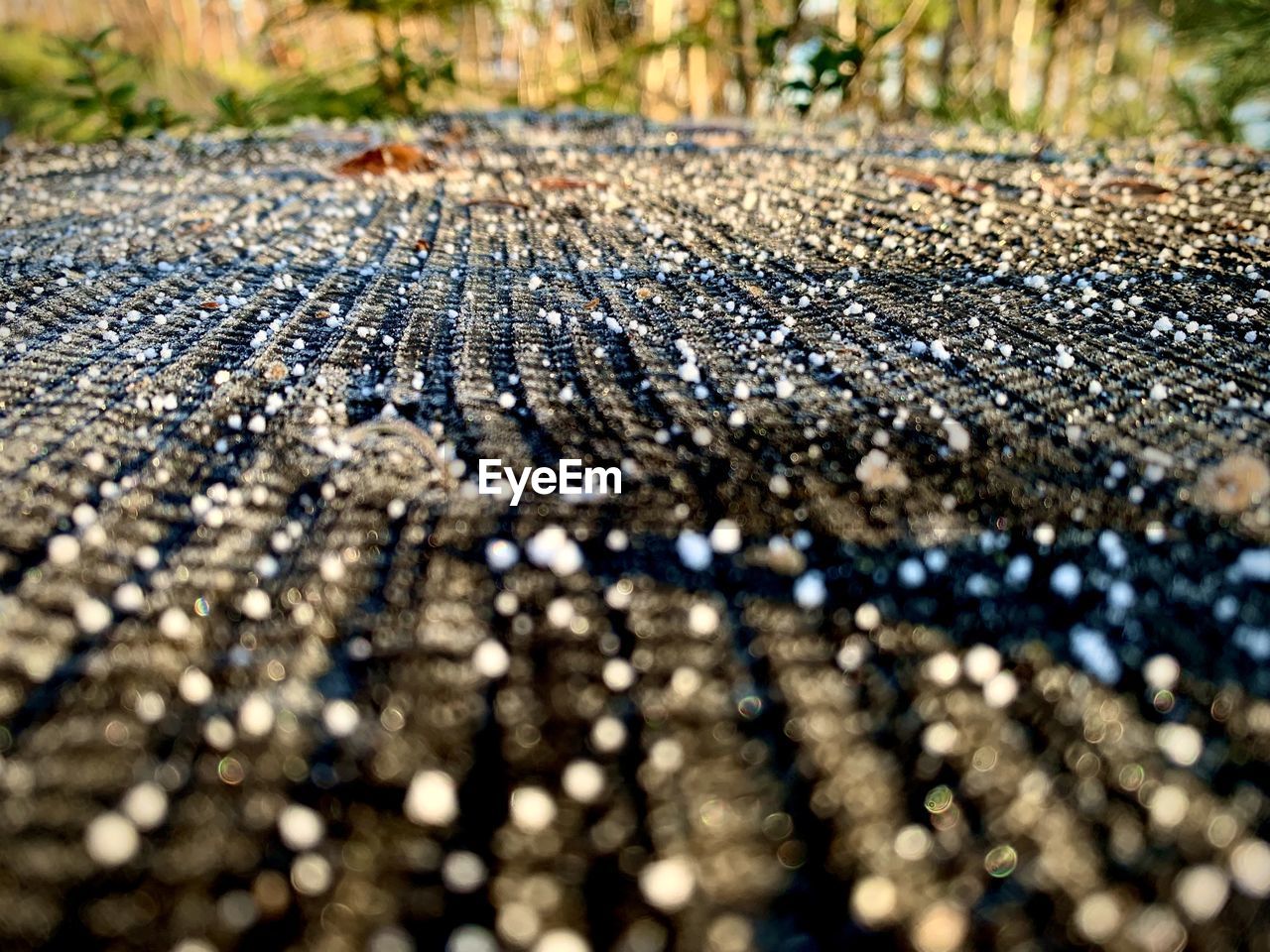 Close-up of wet wood on land