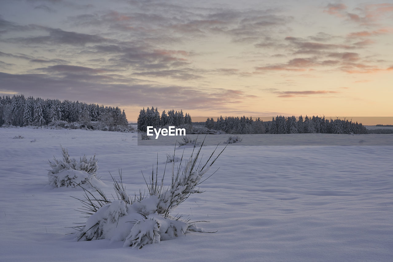 SCENIC VIEW OF SNOW COVERED FIELD AGAINST SKY