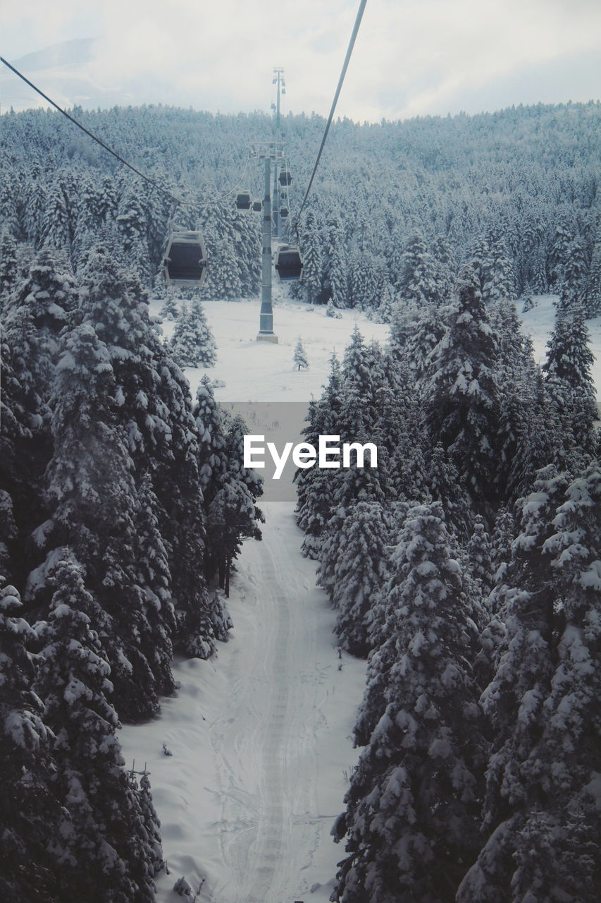 Cable car view of the snowy mountain forest in winter ski vacation 