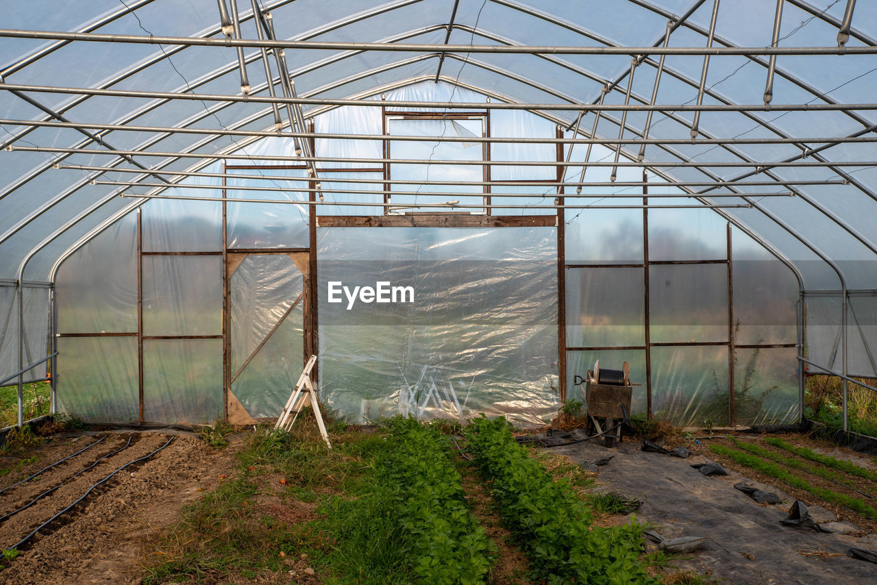 Irrigation equipment and step ladder in vegetable greenhouse interior 