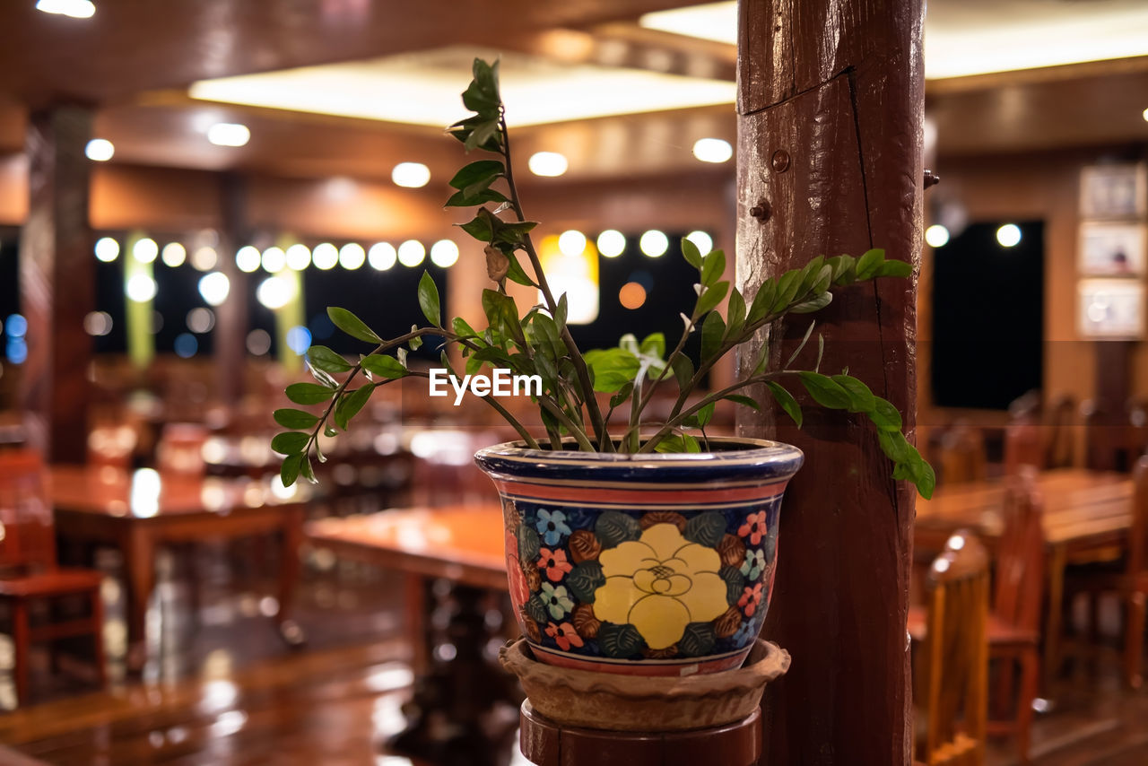 restaurant, plant, indoors, food and drink, no people, wood, bar, table, business, potted plant, meal, nature, architecture, bar counter, focus on foreground, seat, decoration, drink, wealth, home interior, home, illuminated, lighting equipment, luxury