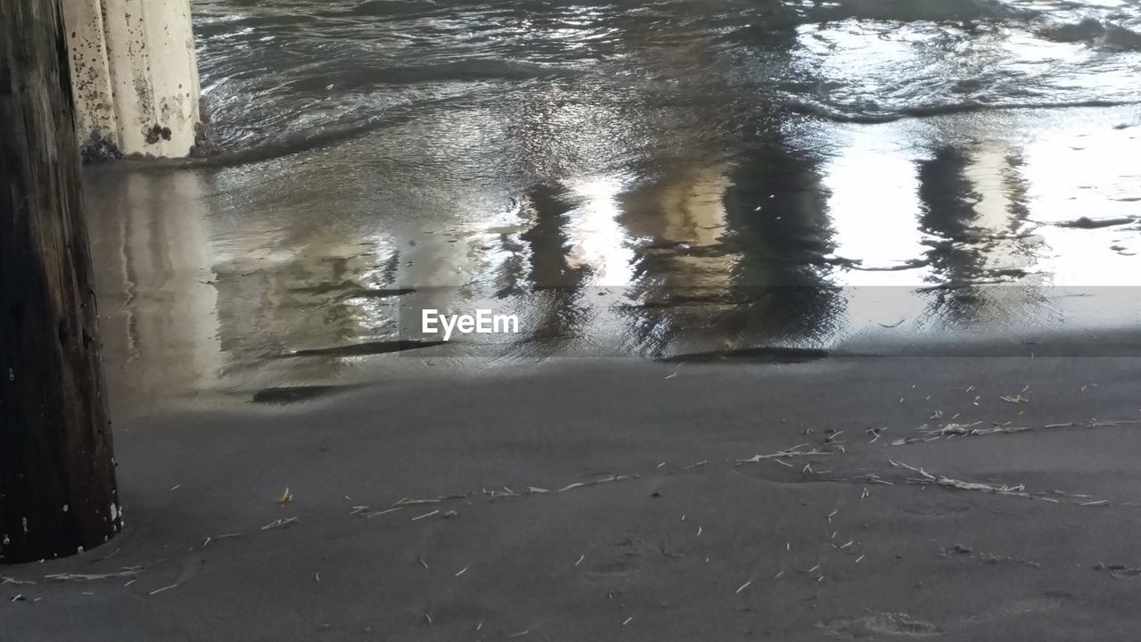 CLOSE-UP OF WET TREE IN WATER