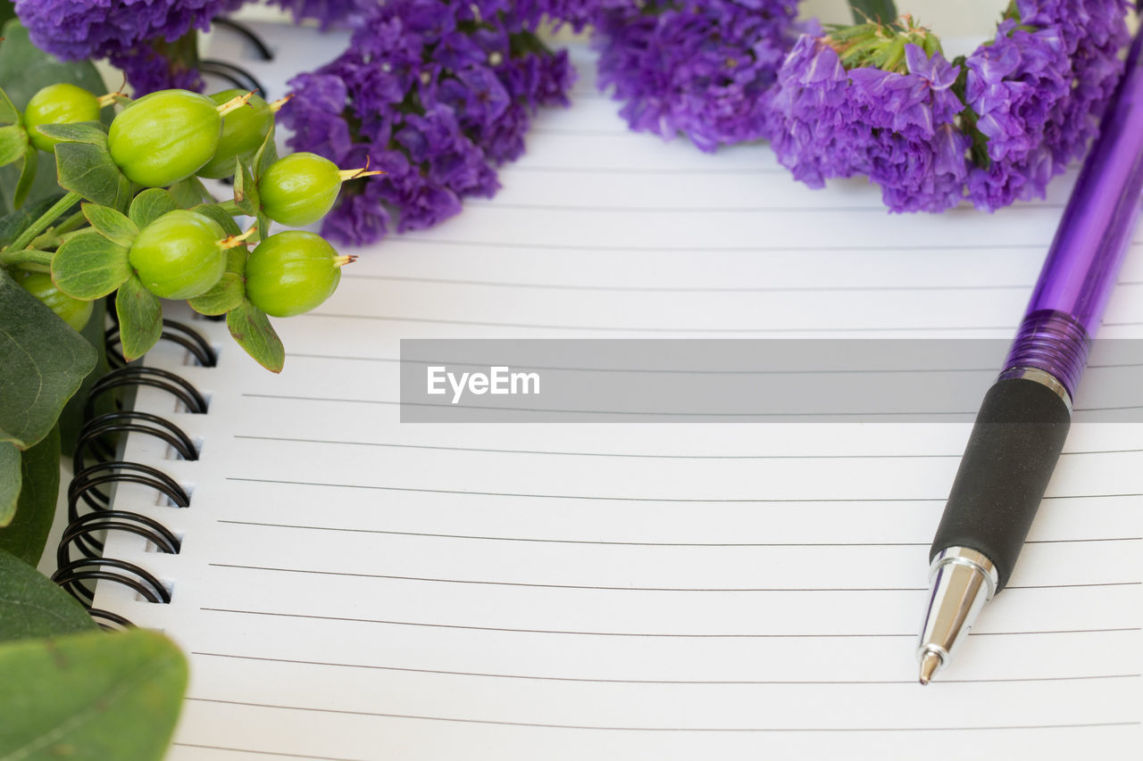 Close-up of purple flowers with pen on book