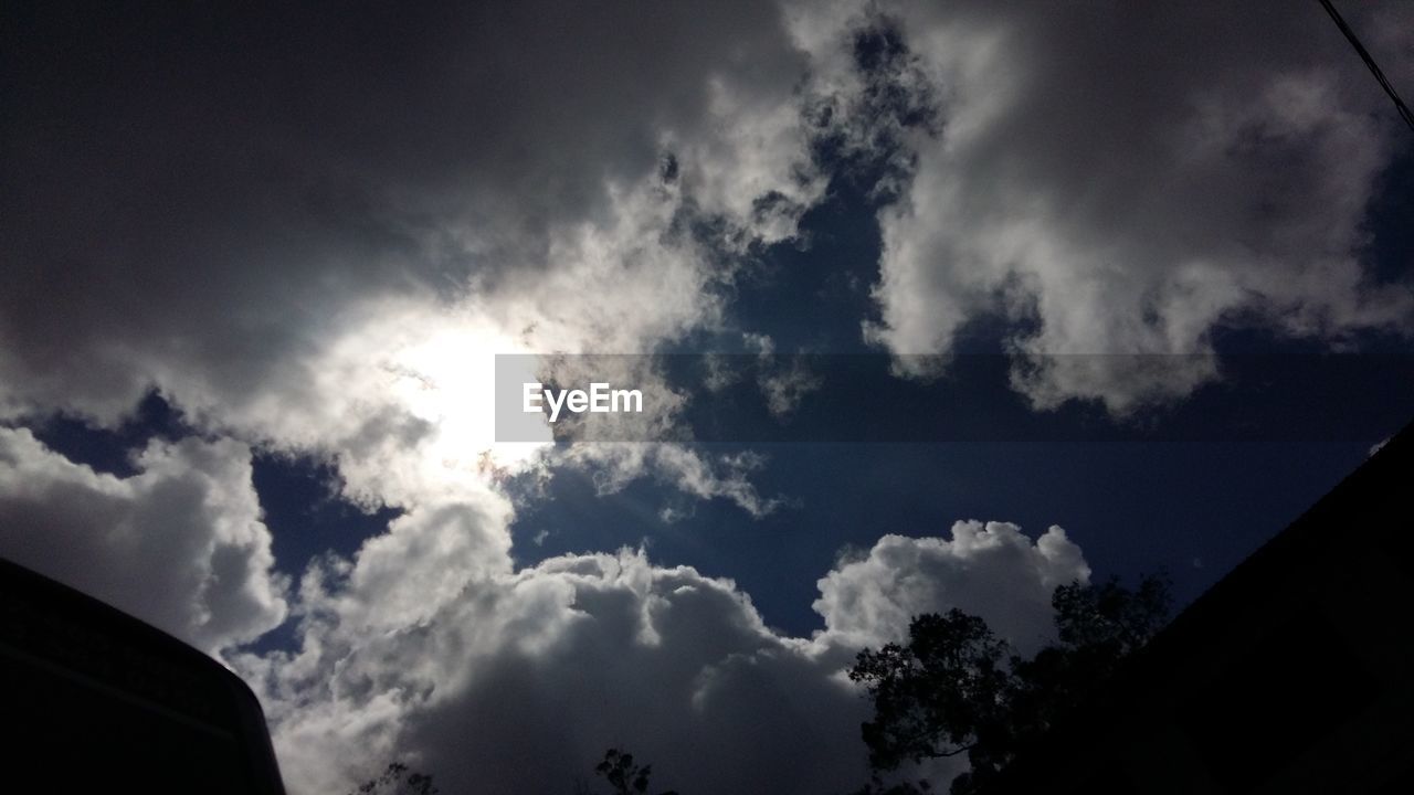 LOW ANGLE VIEW OF SKY AND TREES AGAINST CLOUDS