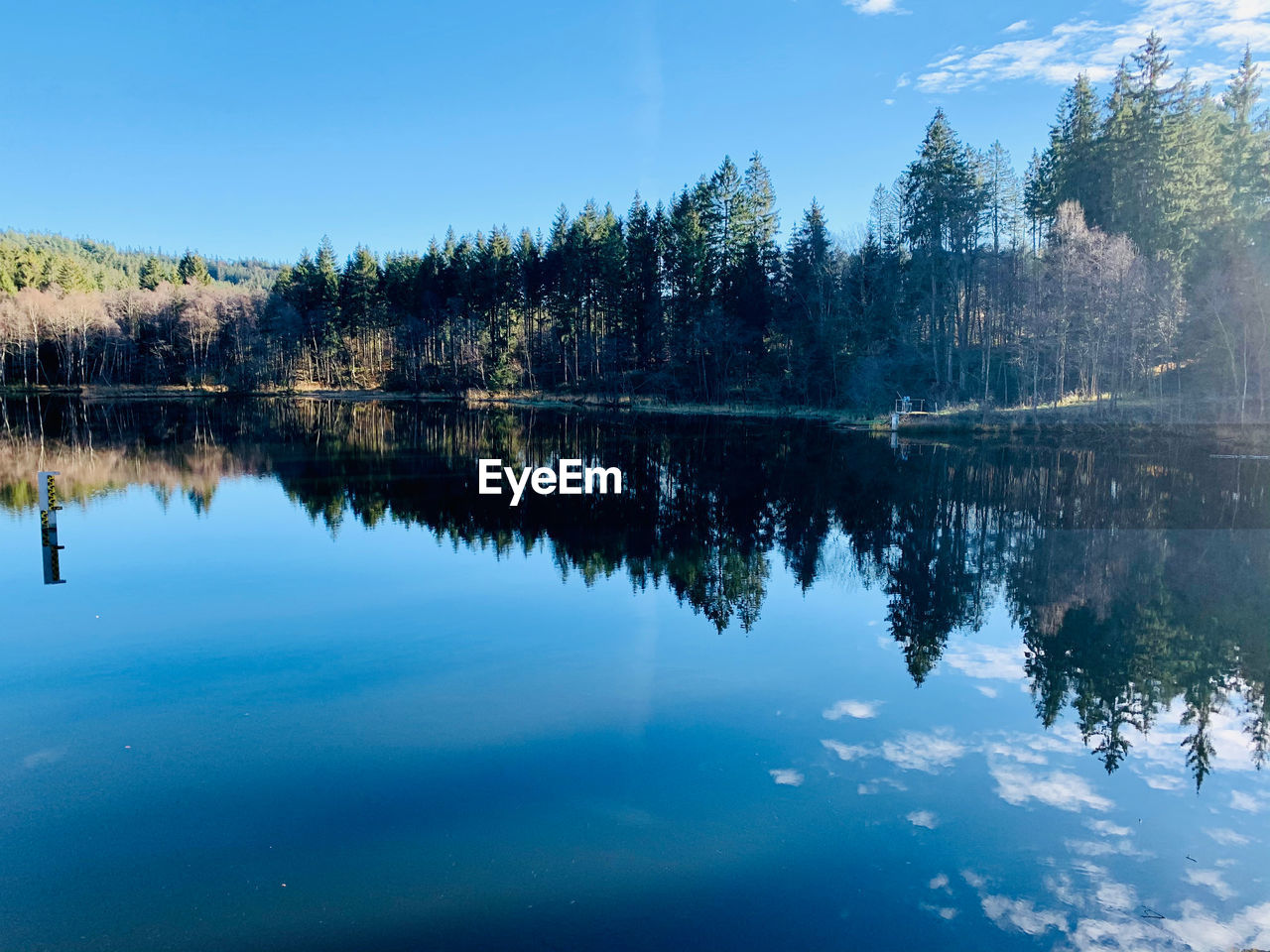 REFLECTION OF TREES IN LAKE AGAINST BLUE SKY